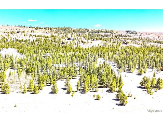 93 Placer Dr, Alma, CO 80420