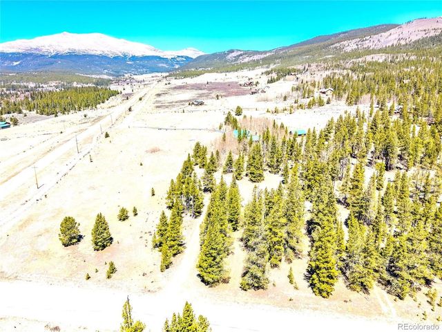 93 Placer Dr, Alma, CO 80420