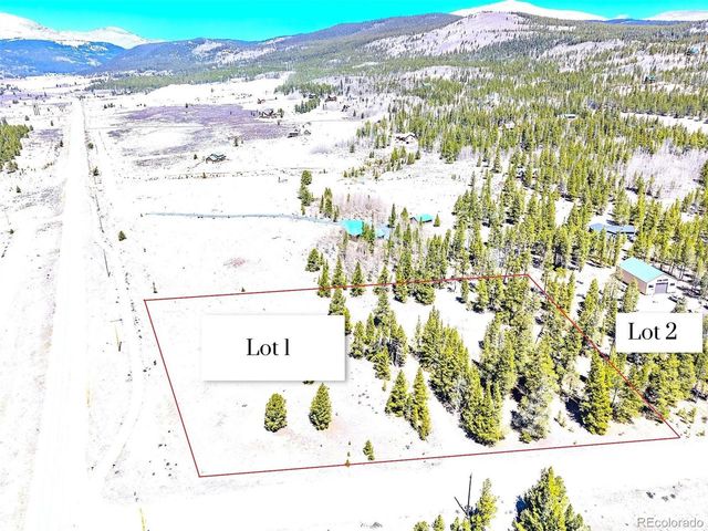93 Placer Dr, Alma, CO 80420