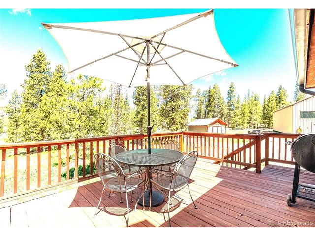 93 Placer Dr, Alma, CO 80420