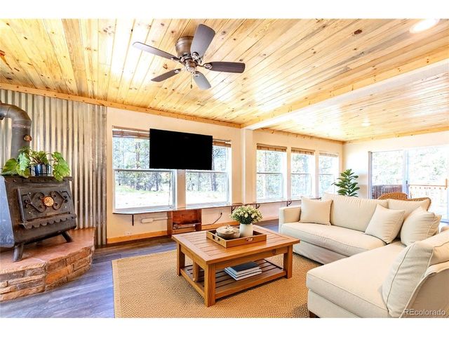 93 Placer Dr, Alma, CO 80420