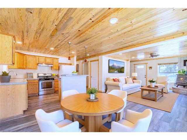93 Placer Dr, Alma, CO 80420