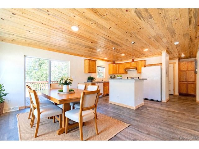93 Placer Dr, Alma, CO 80420