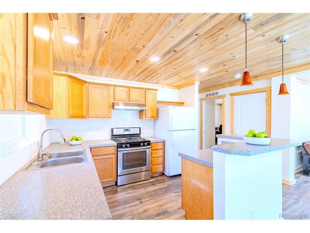 93 Placer Dr, Alma, CO 80420