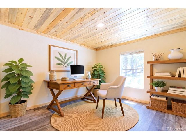 93 Placer Dr, Alma, CO 80420