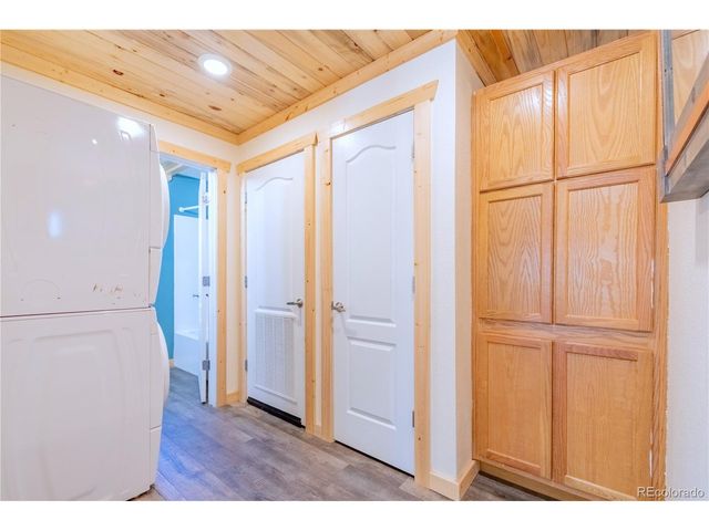 93 Placer Dr, Alma, CO 80420