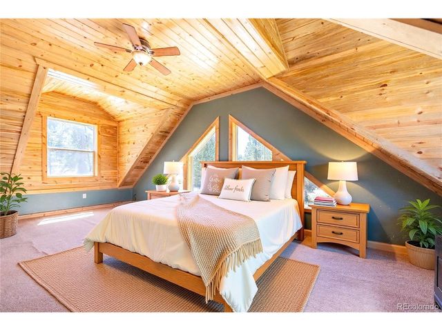 93 Placer Dr, Alma, CO 80420