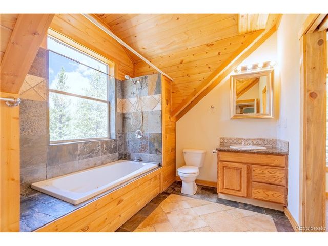 93 Placer Dr, Alma, CO 80420