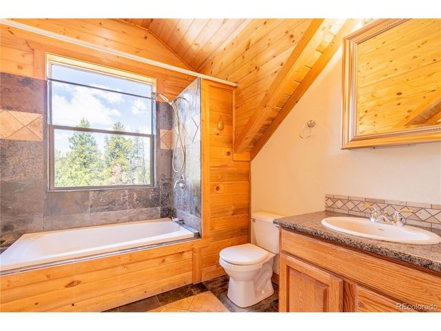 93 Placer Dr, Alma, CO 80420