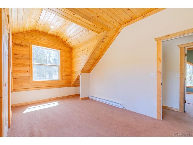 93 Placer Dr, Alma, CO 80420