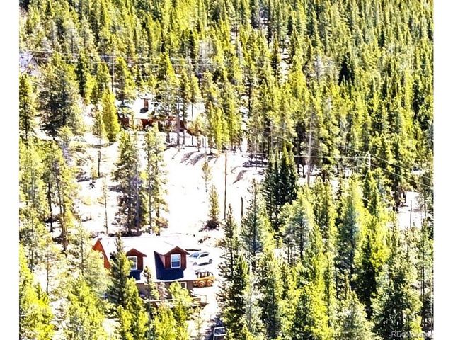 93 Placer Dr, Alma, CO 80420