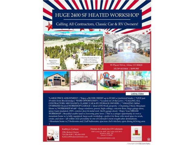 93 Placer Dr, Alma, CO 80420