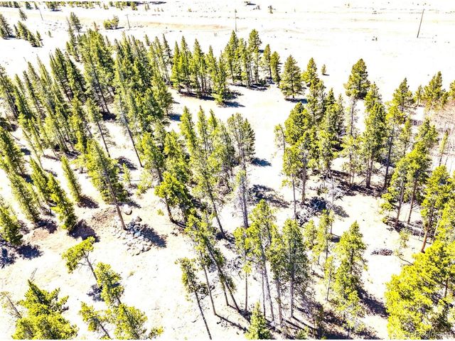 93 Placer Dr, Alma, CO 80420