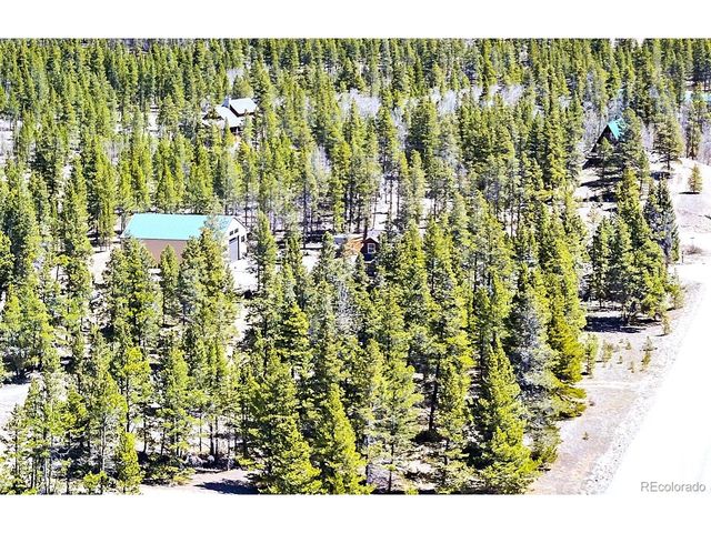 93 Placer Dr, Alma, CO 80420