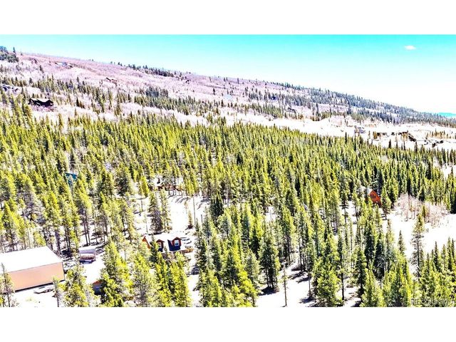 93 Placer Dr, Alma, CO 80420
