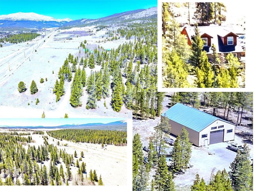 93 Placer Dr, Alma, CO 80420