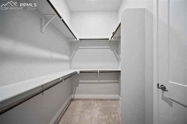 6950 Enclave Vista Loop, Colorado Springs, CO 80924