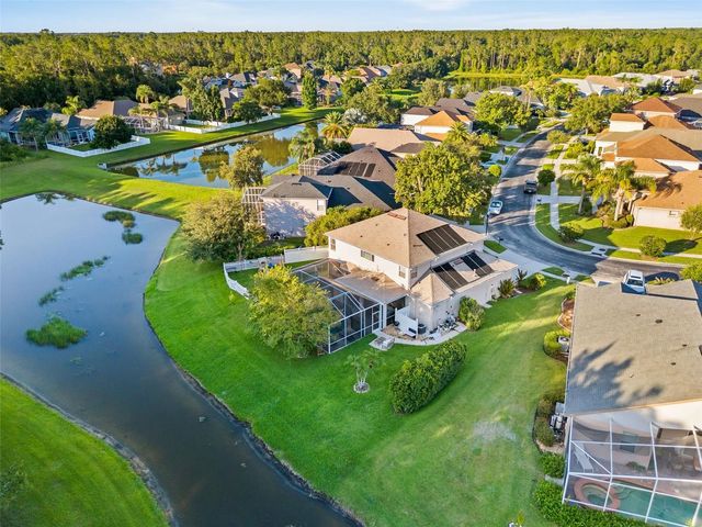 27015 FIREBUSH DRIVE, Wesley Chapel, FL 33544