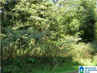 228 GOBER DRIVE, Birmingham, AL 35214