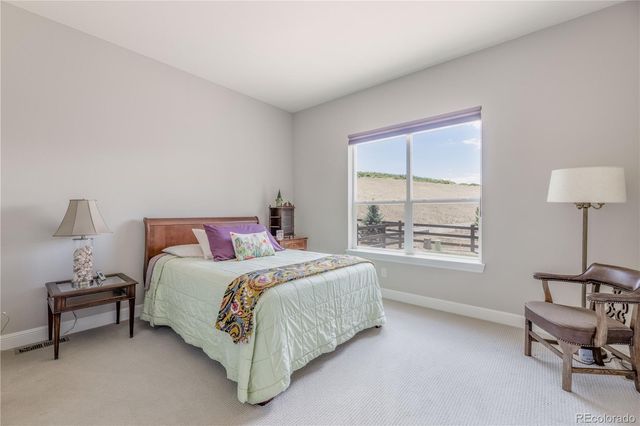 708 Alumroot Street, Castle Rock, CO 80104