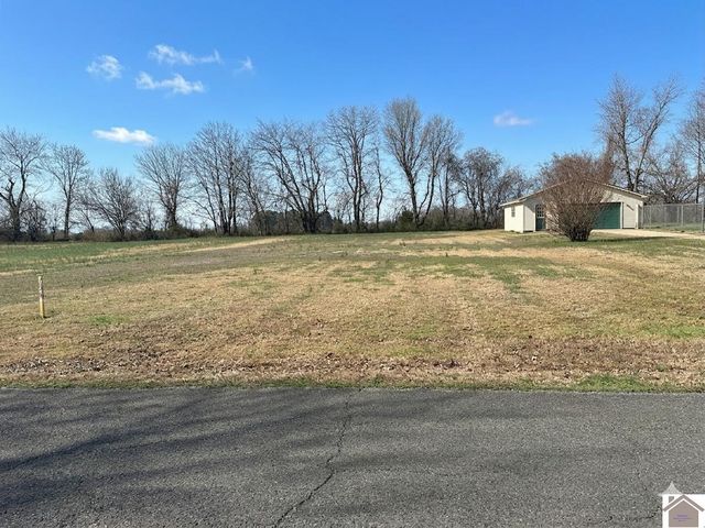 331 Perry, Mayfield, KY 42066