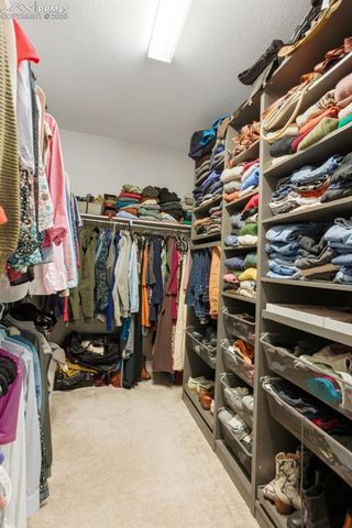 146 Kitselman Drive, Castle Rock, CO 80104