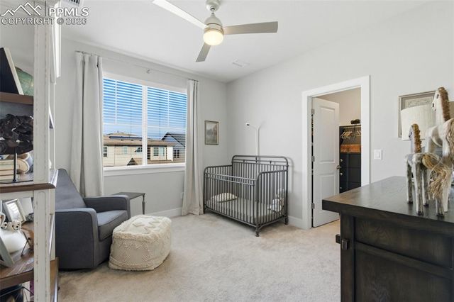 146 Kitselman Drive, Castle Rock, CO 80104