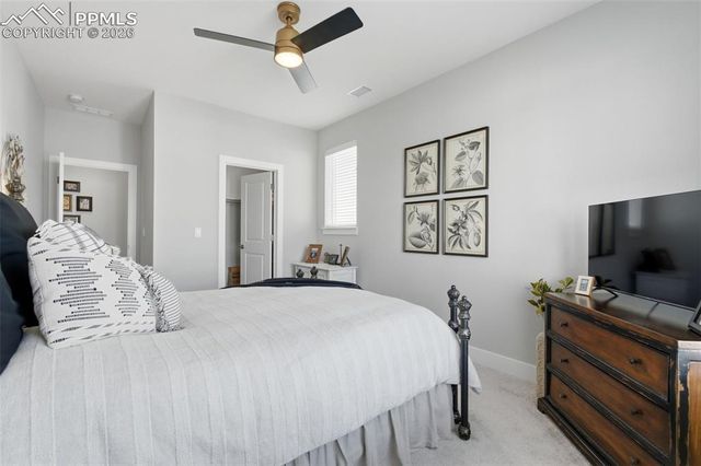 146 Kitselman Drive, Castle Rock, CO 80104