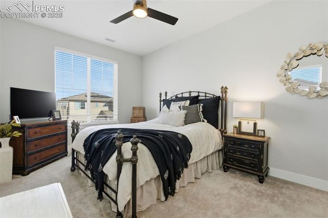 146 Kitselman Drive, Castle Rock, CO 80104