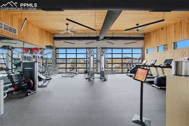 146 Kitselman Drive, Castle Rock, CO 80104