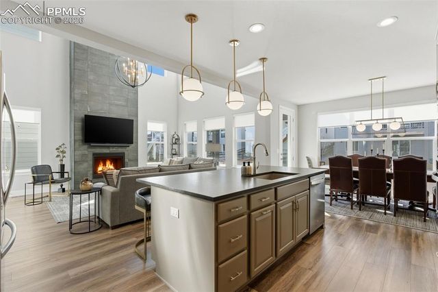 146 Kitselman Drive, Castle Rock, CO 80104