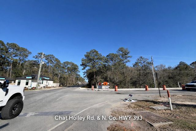 0 N Co Highway 393, Santa Rosa Beach, FL 32459