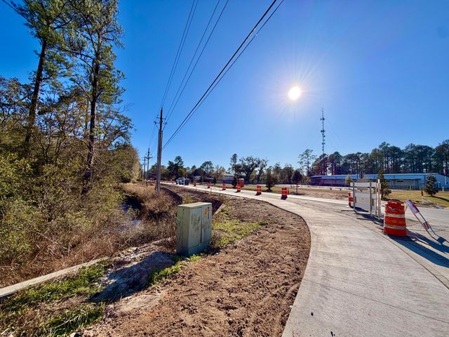 0 N Co Highway 393, Santa Rosa Beach, FL 32459