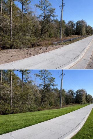 0 N Co Highway 393, Santa Rosa Beach, FL 32459