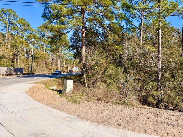 0 N Co Highway 393, Santa Rosa Beach, FL 32459