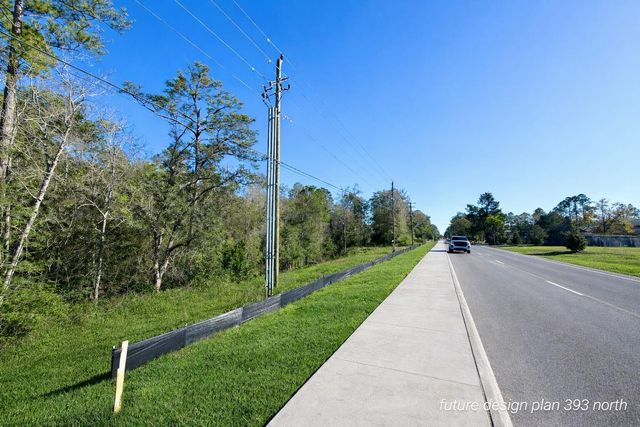 0 N Co Highway 393, Santa Rosa Beach, FL 32459