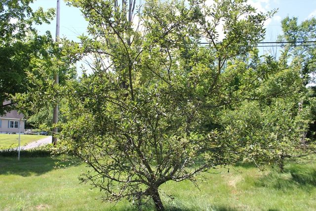 727 Brattleboro Rd, Bernardston, MA 01337