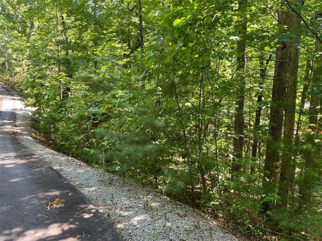 LOT 7 Forest Canopy Way, Clayton, GA 30525