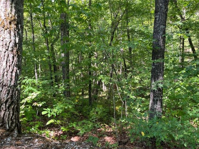 LOT 7 Forest Canopy Way, Clayton, GA 30525