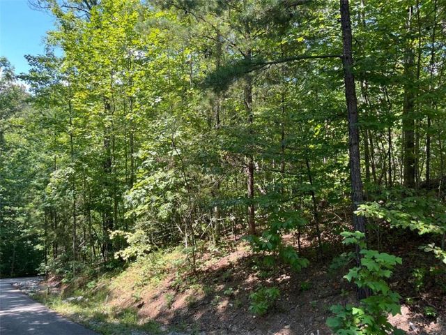 LOT 7 Forest Canopy Way, Clayton, GA 30525