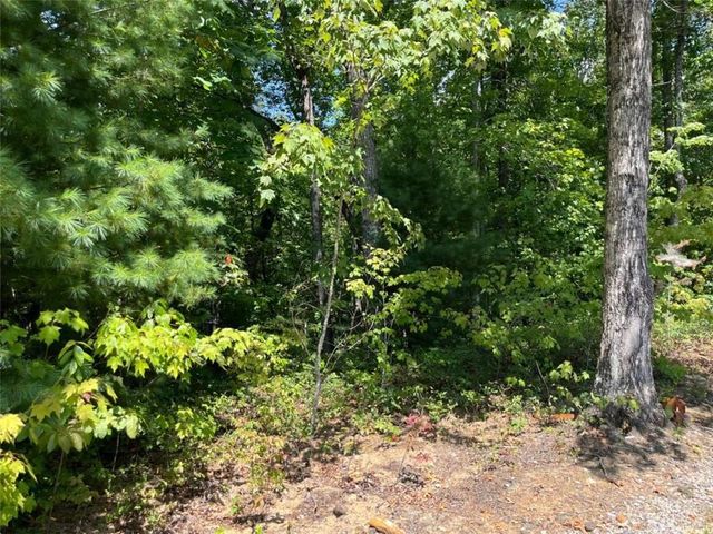 LOT 7 Forest Canopy Way, Clayton, GA 30525