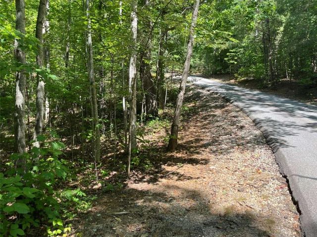 LOT 7 Forest Canopy Way, Clayton, GA 30525