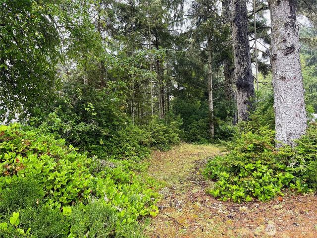 815 Scaup Court SE, Ocean Shores, WA 98569