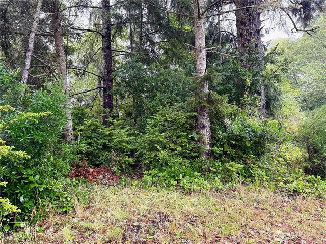 815 Scaup Court SE, Ocean Shores, WA 98569