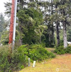 815 Scaup Court SE, Ocean Shores, WA 98569