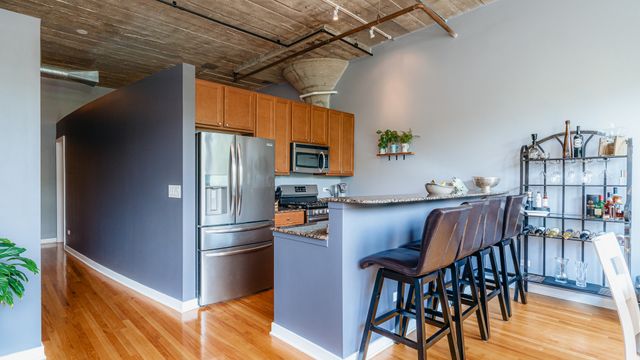 1110 W 15th Street 330, Chicago, IL 60608