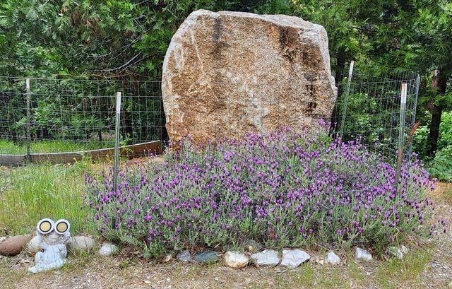 14522 Deerhaven Ln, Nevada City, CA 95959