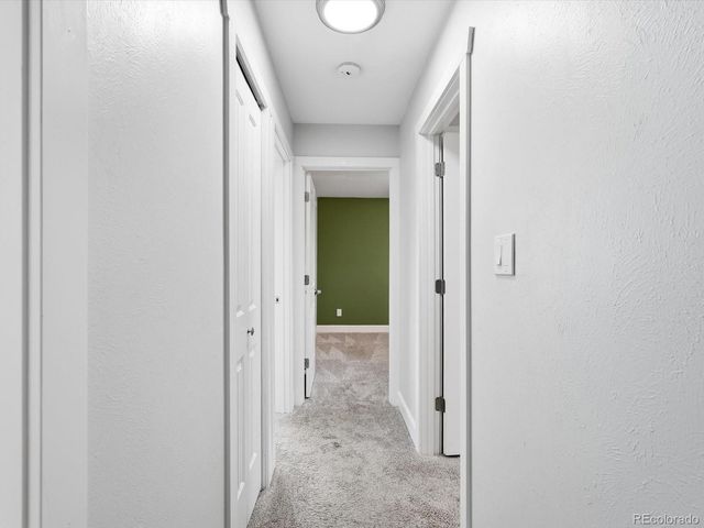 8843 Seton Street, Westminster, CO 80031