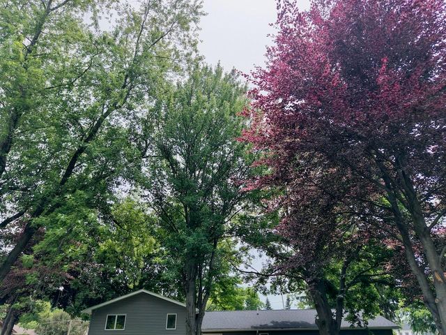 605 E Liberty Street, Chesaning, MI 48616