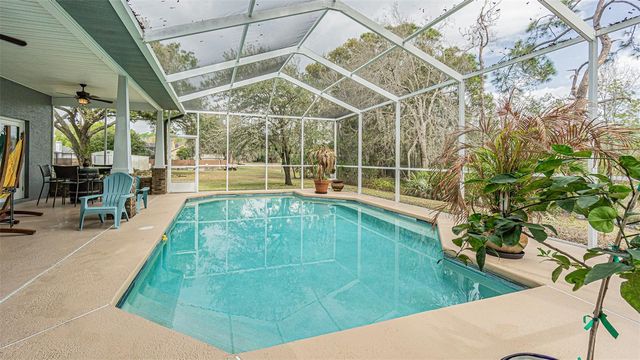 12211 COUNT PLACE, Thonotosassa, FL 33592
